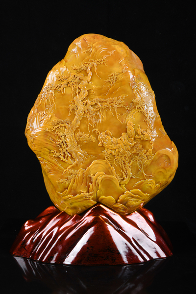 QQ0008.jpg