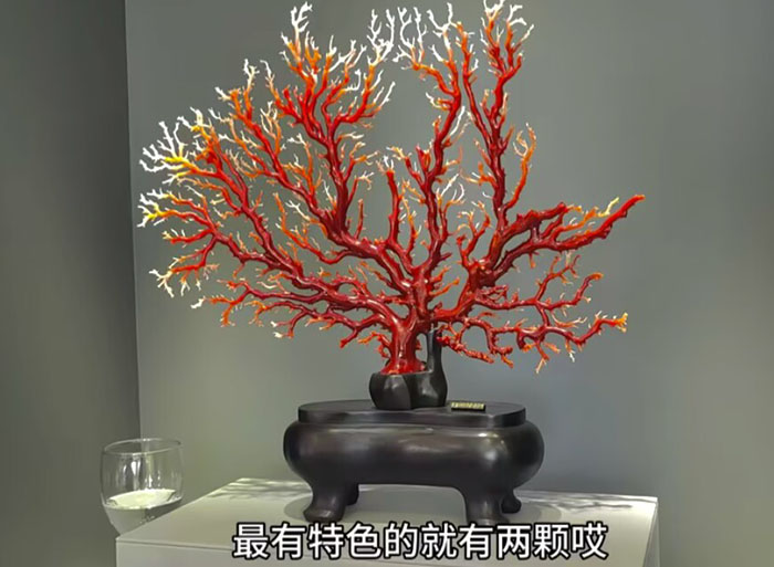 1773530136179293.png 74E64ACD591D97C5E624DFB4EAE5C958.png