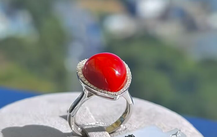 1773530191831709.png B383CCC629AE17EF9B00E78DCF60521B.png