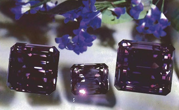 640 (1).webp (3)_副本.jpg