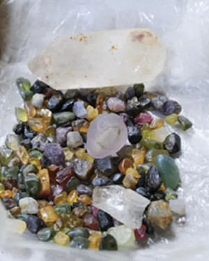 640.webp (1)_副本.jpg
