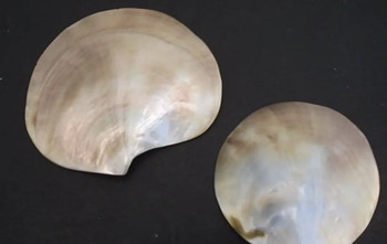 640.webp (4)_副本.jpg