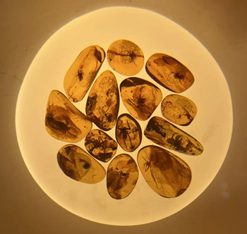 640.webp (3)_副本.jpg